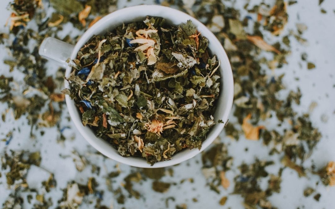 Everything You Need To Know About Terpenes